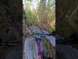 That’s one way to start a trail #freeride