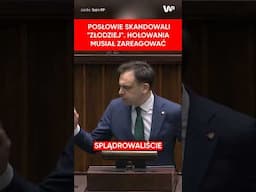 "Złodziej!". Krzyczeli do Domańskiego. Hołownia musiał ich uspokajać