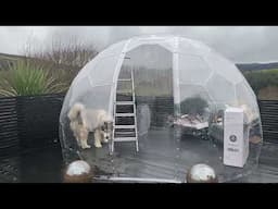 We Built Our Dogs An Igloo But Disaster Struck!! (The Cats And Goats Too!!)