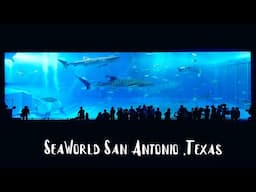 SeaWorld San Antonio, Texas, USA in 4K | Christmas Celebrations