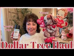 DOLLAR TREE HAUL | JANUARY 31ST