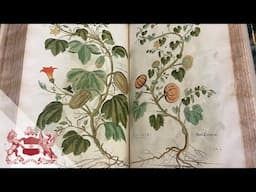 Leonhard Fuchs’s History of Plants (1542) | Sachiko Kusukawa