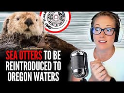 LIVE STREAM! Marine Biologist Reacts to Ocean News!