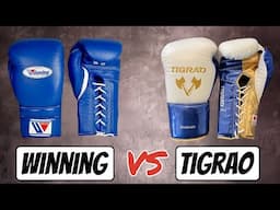 Winning VS Tigrao Boxing Gloves | Japanese Glove Comparison