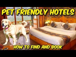 How to Find & Book Pet-Friendly Hotels | Tips for Traveling with Your Pet!