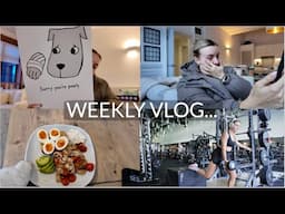 SPEND A FEW DAYS WITH ME | TRAINING & FOOD SHOPS, ADDRESSING COMMENTS | ZOE RAE