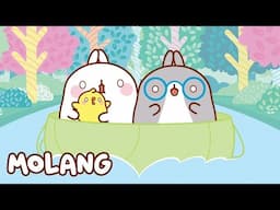 🩵✨ Into the Wild | Molang | Cartoons for Kids