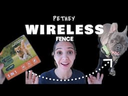 PETHEY Wireless fence unboxing