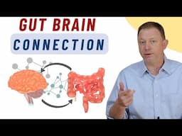 What's Hiding in Your Gut That's Affecting Your Brain?