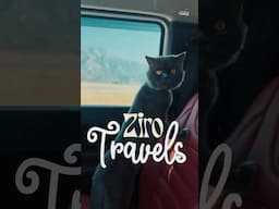 Traveling with our Cat ( Ziro ) | Part 01