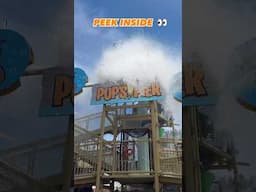 Water park is now open at Great America 🛝 #waterpark #amusement park #themepark #shorts