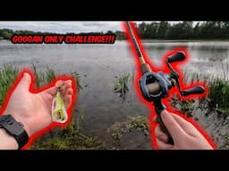 Googan Lures ONLY Bass Fishing Competition!!! (Unexpected Catch!!!)