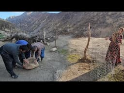 Protecting the Stable: Salahadin, Leila & Adil Help Osoul Din 🛠️🐑