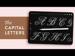 Capital Calligraphy Alphabet Demonstration | Procreate Lettering Brush