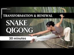 Snake Qigong for Beginners & Advanced Variation | Mindful Transformation for a Brand New You