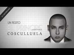 Cosculluela - Un Pesito (Visualizer)