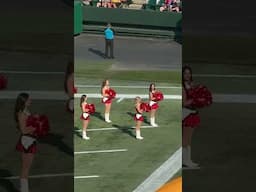 Cheerdancers @Elk game