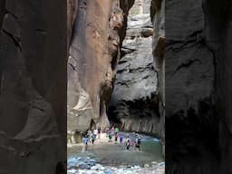 Virgin Narrows, Zion National Park, Utah