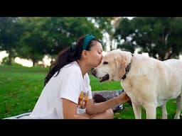 A Dog's Joyous Golden Years: A Senior Dog's Mountain Biking Retirement, Surrounded by Love