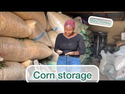 Corn storage business in Nigeria 2024