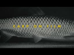 A Treatise On Carp And Film Emulation | URBAN CARP FLY FISHING ARIZONA | Dehancer Film Emulation