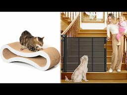 TOP 5 Best Accessories for Pets on Amazon | JoysPets