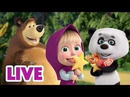 🔴 LIVE 🐻👧 Masha y el Oso ❤️‍🔥 Colección de Oro 🎬 Masha and the Bear