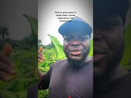 HOW TO GROW YAMS IN SACKS VIDEO COURSE TRAINING REGISTRATION