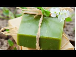 Making Aloe Vera Soap