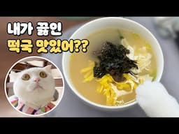 (손맛 보장) 고양이가 말아주는 떠국 드실 분..?  🙋🏻‍♀️