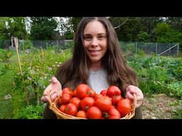 Harvesting Organic Summer Produce & Flowers from our Permaculture Gardens & Backyard Flower Farm