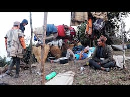 shepherd life of Nepal || Himalaya life in Nepal || Rural Nepal Quest @ruralnepalquest