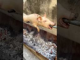 Whole Pig Roasting🐷🔥#short #shorts #shortvideo #shortsvideo #viralshorts #viralvideo #cooking #pig