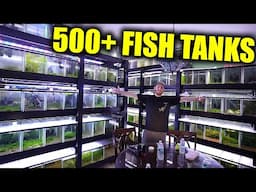 500+ aquariums in his HOUSE!!!