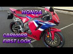 ★ 2025 HONDA CBR600RR FIRST LOOK ★