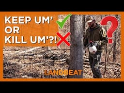 In Depth Timber Evaluation! 🌳 | Habitat Management For Wildlife 🦌🦃