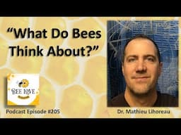 "What Do Bees Think About," Bee Beds, and Bee QR Codes