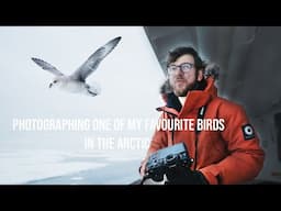 BIRD PHOTOGRAPHY in the ice | looking for WILDLIFE in the Arctic + Nikon 600mm f4 Z | Svalbard EP2