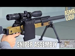 Unintentional ASMR Loop | B&T Swiss Silenced Sniper Rifle Assembly (Oddly Satisfying)