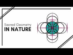 Sacred Geometry in Nature