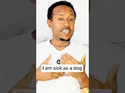 I am sick as a dog. #habesha #howtolearnenglishforbegginers #dog