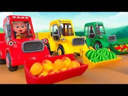 What Color is it ? Songs About Colors And Fruits | Boo Kids Nursery Rhymes - Kids Songs & Baby Songs