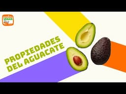 Propiedades del aguacate que te harán amarlo aún más 🥑❤️