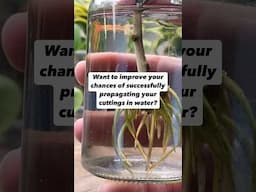 How to Improve Water Propagation