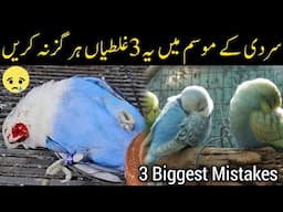 3 winter mistakes  | Sardi ke mosam me ye galtia hargiz na karien | Mujeeb Birds Breeding