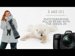 Photographing Polar Bears in Svalbard with the Nikon Z9 🐻‍❄️