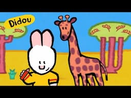 Didou dessine moi : Une Girafe 🦒  | Compilation Enfants