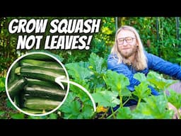 Growing ZUCCHINI Intensively At Home for Maximum Yield and Plant Health | Step-by-Step Guide