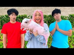 SURPRISING MY FRIENDS WITH A PIG!!