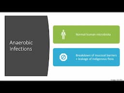 Anaerobic Infections -- Ju Hee Katzman, MD